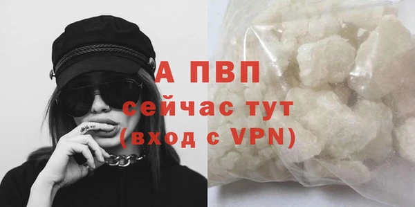 стафф Баксан